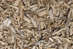 biomass boilers Hummersknott